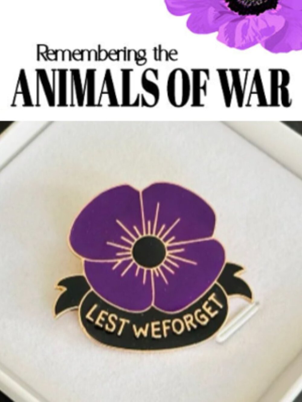 🌺60% Proceeds go to The Legion Poppy Fund🌺